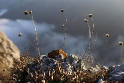 Прикрепленное изображение: 0-02-05-12fd8797300967b5e5502a9591a56860d9da60e78a3cf0633947e785685abacf_ce9d1fea.jpg